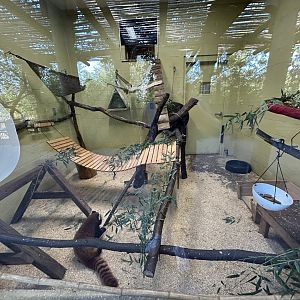 Indoor Red Panda Exhibit - Red Panda Village