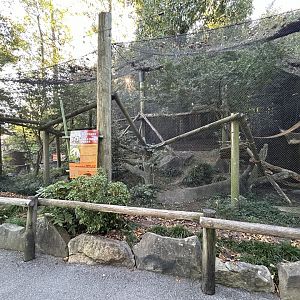 Red Panda Exhibit #2 - Red Panda Village