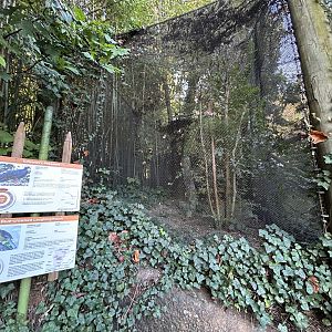 Edward’s Pheasant & Blue-crowned Laughingthrush Aviary - Red Panda Village