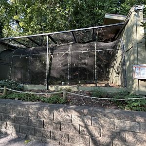 Western Burrowing Owl Exhibit