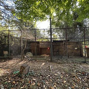 Gray Crowned Crane Exhibits