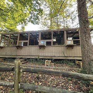 Eagle Owl, Harris’ Hawk & American Crow Exhibits