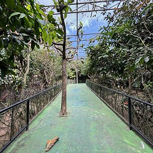 Walk-through Aviary - zero signage