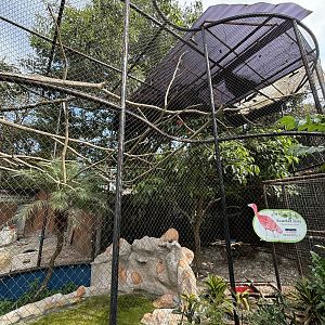 Scarlet Ibis Aviary