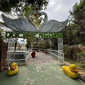 Duck Kingdom - entrance