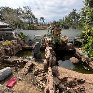Ruddy-headed Goose + Orinoco Goose Exhibits
