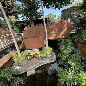 Black Swan Exhibit #1