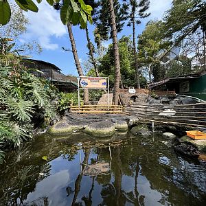 Black Swan Exhibit #2