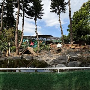 Whooper Swan Exhibit