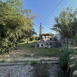 Malayan Tiger Exhibit #1 - Asian Trek