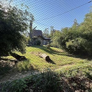 Malayan Tiger Exhibit #1 - Asian Trek
