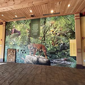 Asian Rainforest Mural - Asian Trek