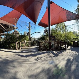 White-handed Gibbon Exhibit - Asian Trek