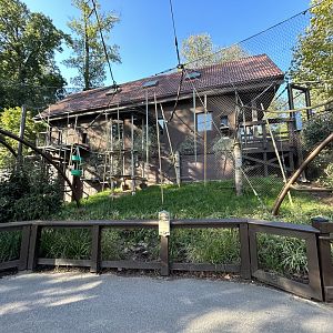 White-handed Gibbon Exhibit - Asian Trek