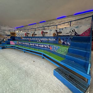 Penguin Viewing Area