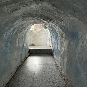 Penguin Tunnel - for visitors
