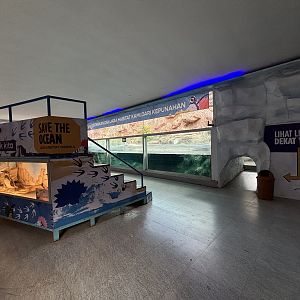 Humboldt Penguin Exhibit