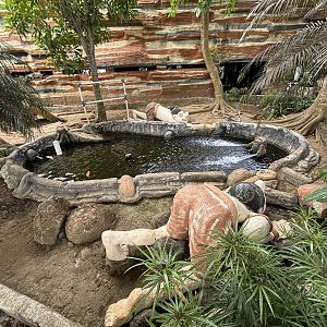 Hunter Statues in Waterfowl Exhibit