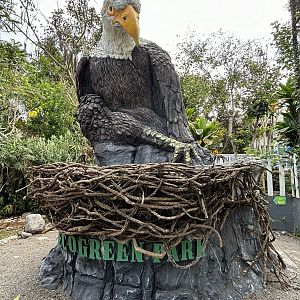 Bald Eagle Statue