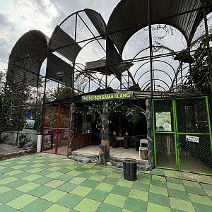 Birds of Prey - pay to handle birds