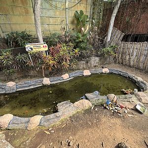 Andean Goose Exhibit