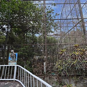 Crowned Eagle Aviary