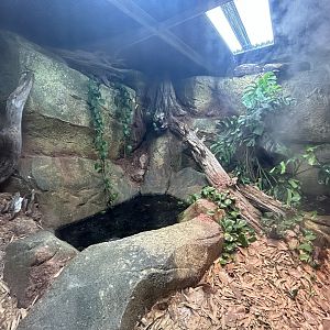 Reticulated Python Exhibit - ARC