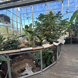 Turtle/Tortoise Greenhouse - ARC