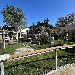 Outdoor Tortoise Exhibit (one of several) - ARC