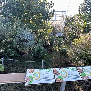 Outdoor Tortoise Exhibit (one of several) - ARC