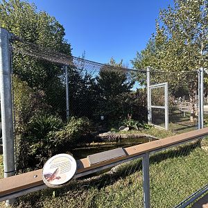 Outdoor Turtle Exhibit (one of several) - ARC