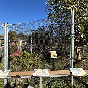 Outdoor Turtle Exhibit (one of several) - ARC