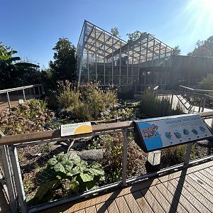 Turtle Wetland - ARC