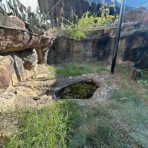 Empty Exhibit by the ARC