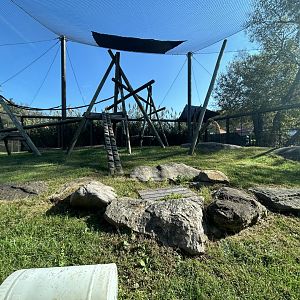 Hamadryads Baboon Exhibit - Valley of the Kings