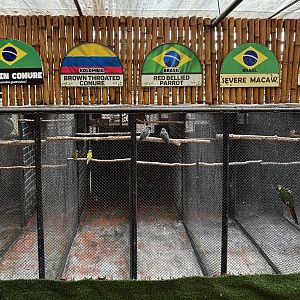 Aviaries of the World