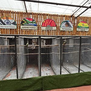 Aviaries of the World