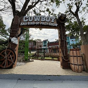 Cowboy + Bird of Prey Show