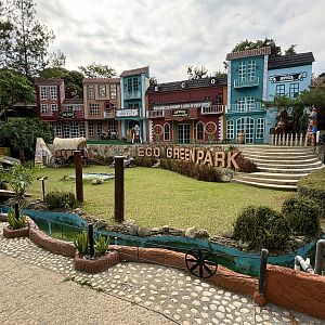 Cowboy + Bird of Prey Show