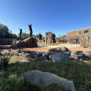 Construction on Former Elephant/Future Rhino Exhibit