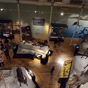 View over the bottom floor 26.8.23