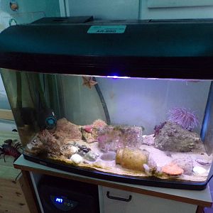 COAST Discovery centre- example of tank 17.9.23