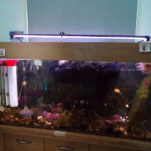 COAST Discovery Centre- example of tank 17.9.23