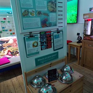 COAST Discovery centre- interactive signage 17.9.23