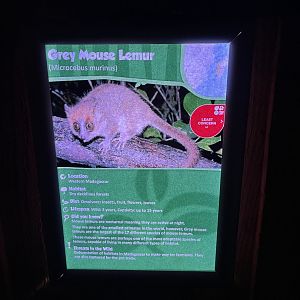 Example of  signage 14.10.23