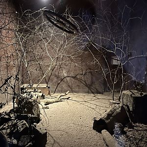 Sugar glider and long-nosed potoroo enclosure 14.10.23