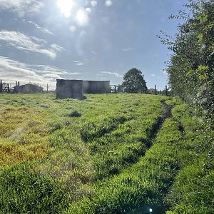 Greater rhea enclosure 14.10.23