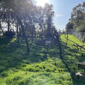 Ring-tailed and Red-fronted lemur enclosure  14.10.23
