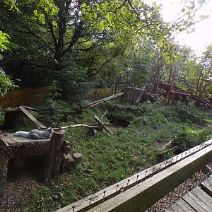 Arctic fox enclosure 14.10.23