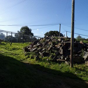 Snow leopard enclosure 14.10.23